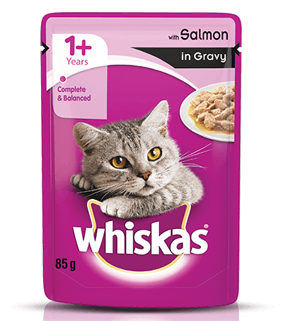 Whiskas Adult(1+) Salmon wet Cat Food 85gm