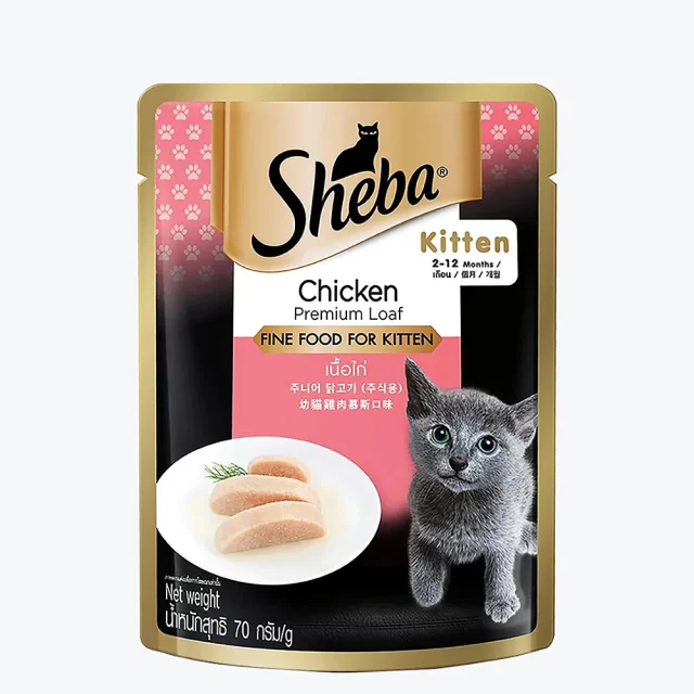 Sheba Chicken Premium Loaf Wet Kitten Food