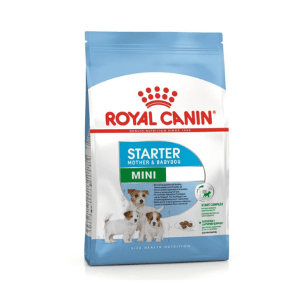 Royal Canin Mini Breed Starter Dry Puppy Food
