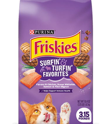 Friskies Surfin' &Turfin' Favorites Dry Cat Food