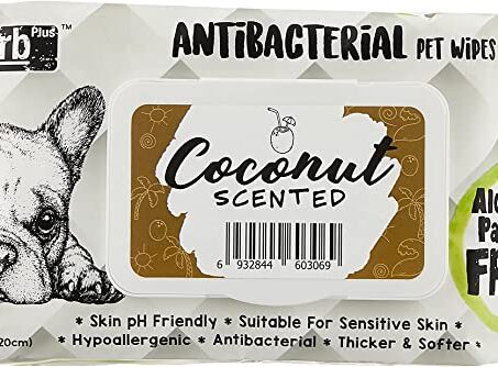 Absorb Plus Coconut Antibacterial Pet Wipes