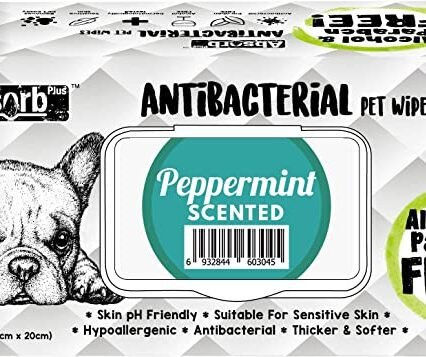 Absorb Plus Peppermint Antibacterial Pet Wipes