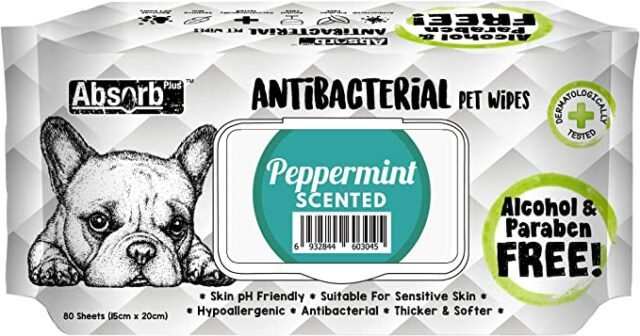 Absorb Plus Peppermint Antibacterial Pet Wipes