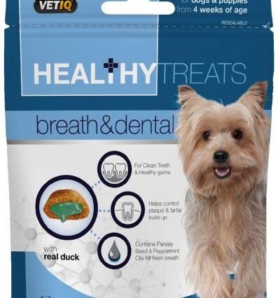 Healthy Treats Breath & Dental For Dog